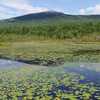 Tour the Monadnock Region with NH Chronicle