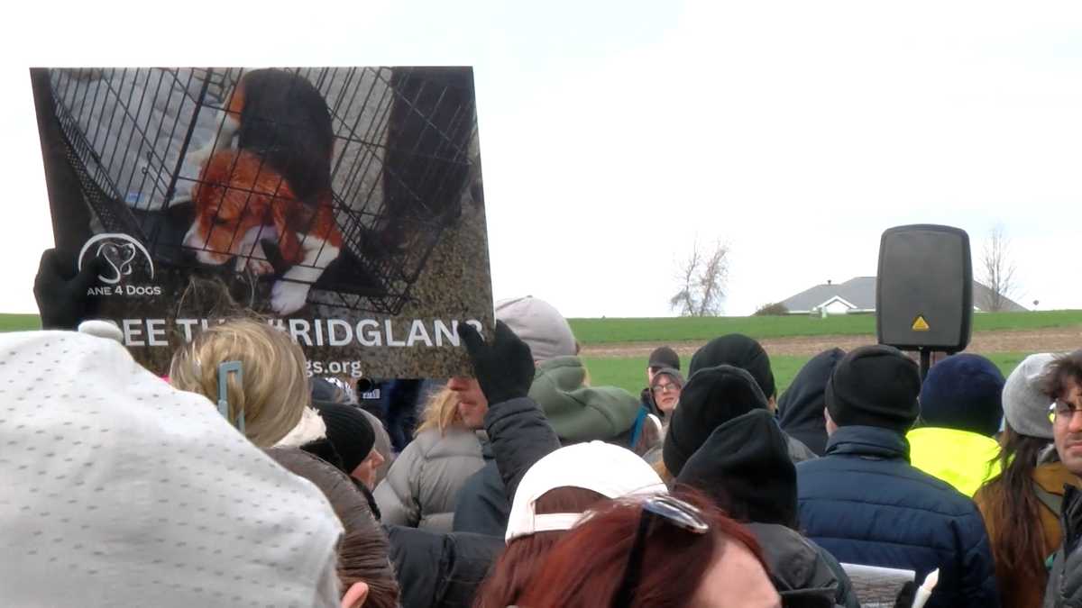 South Carolina couple joins protest to save beagles at Wisconsin facility