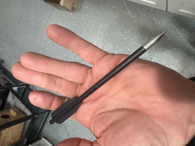 arrow removed from duck's bill