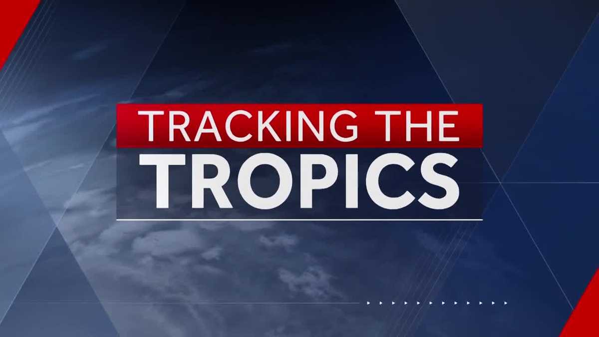 Hurricane season begins with up to 14 named storms forecast