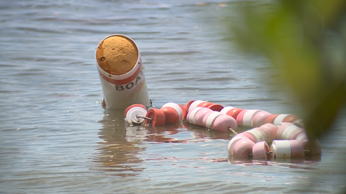 Officials investigate deadly diving incident off the coast of Jupiter