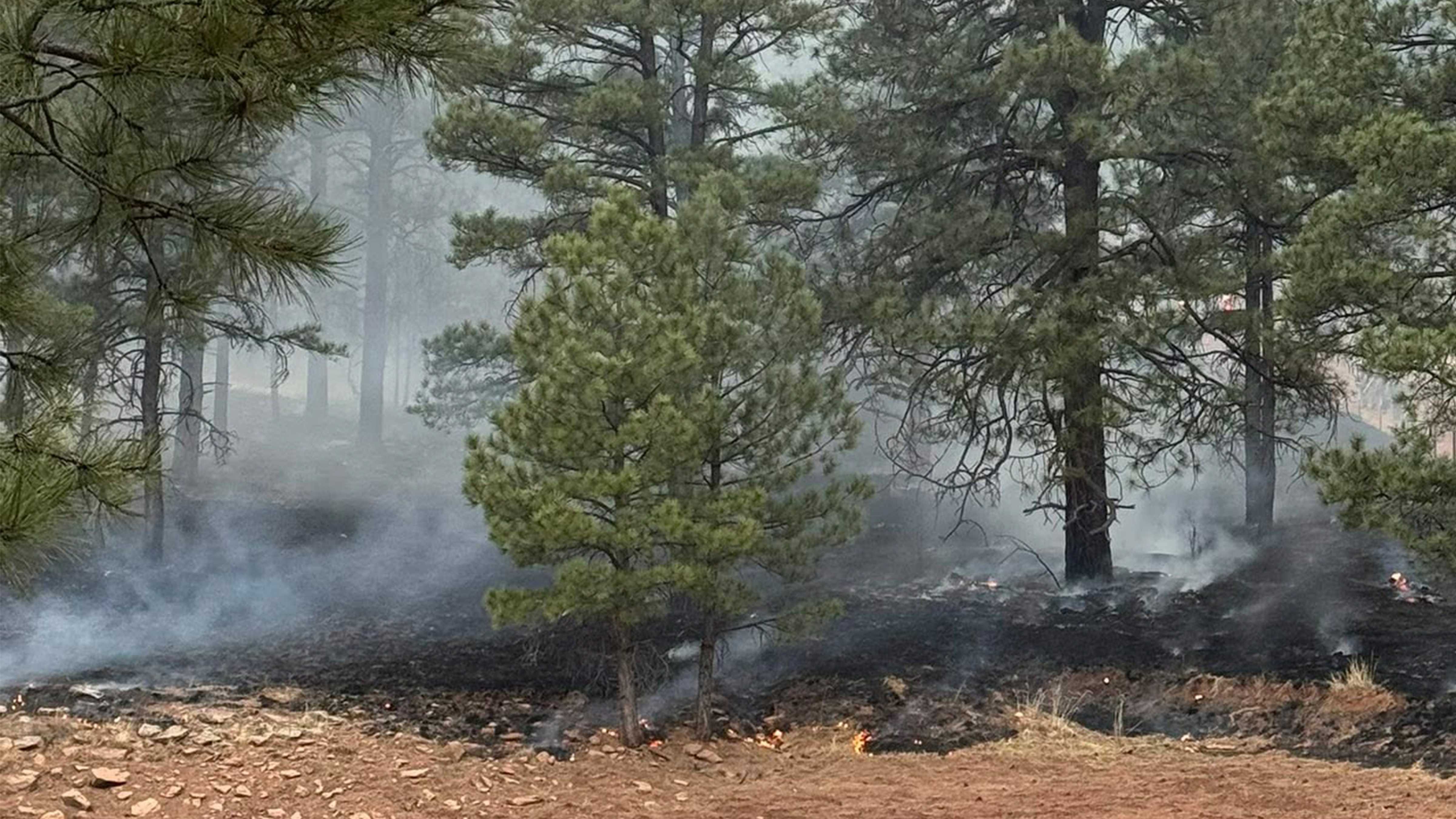 Fire in Mora County closes Pine Tree Road