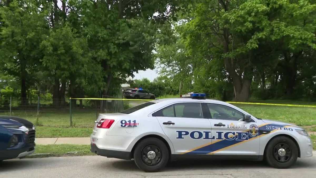 Assault News Image