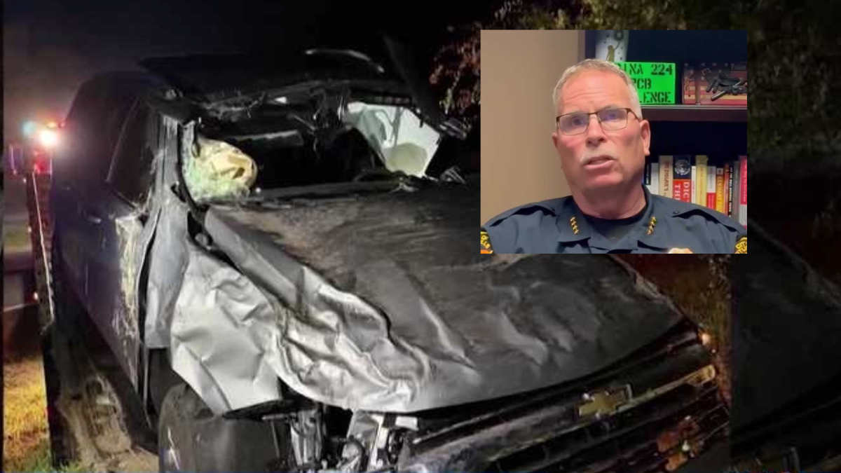 Fired Florida police chief pleads no contest to open container - WESH