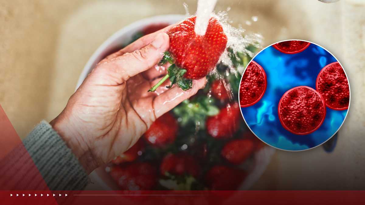Does vinegar kill cyclospora? Answering your questions about produce safety