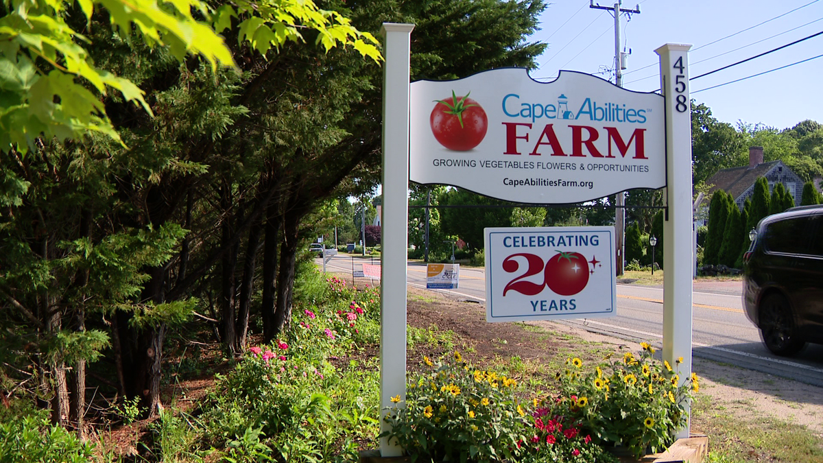 Cape Cod farm offers 20 years of opportunity for adults with disabilities