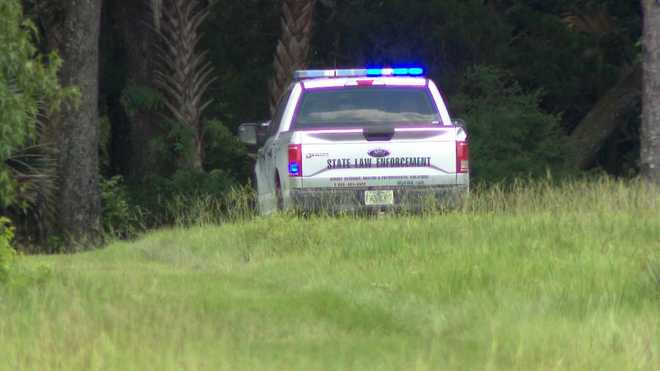 alligator attack in seminole county