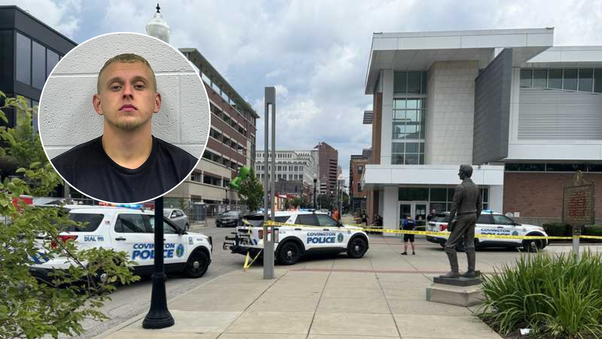 Assault News Image