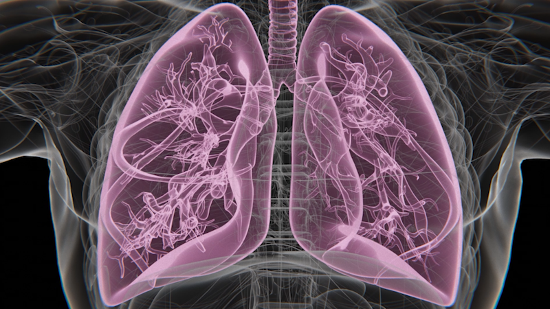 Lowcountry heat and humidity can trigger breathing problems, doctor says