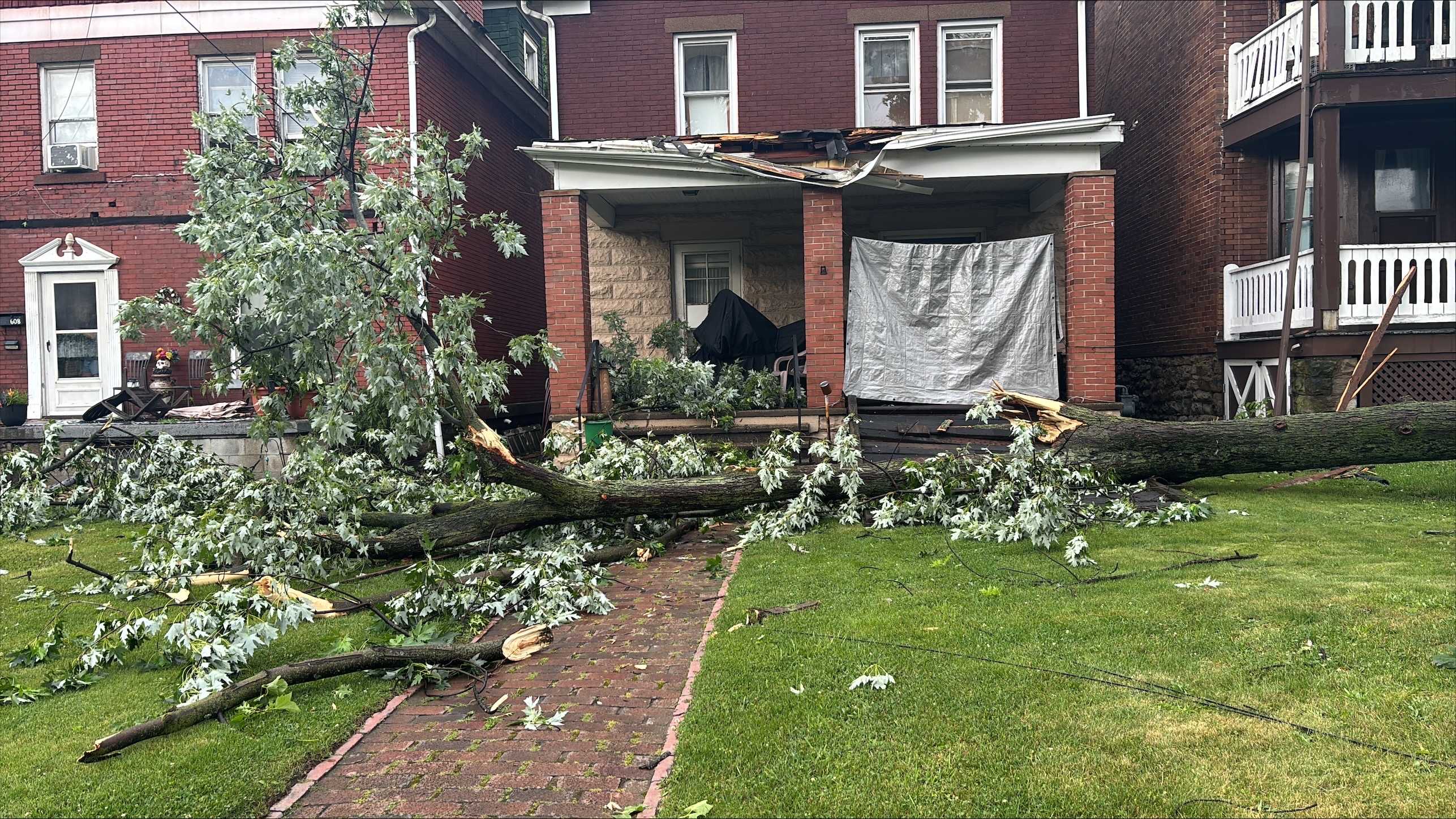 Tree topples onto home, roads blocked by debris in Beaver County