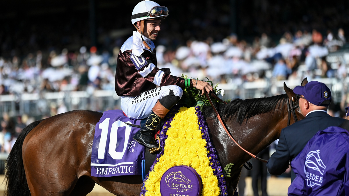 Photo: wlky.com emphatic at breeders' cup