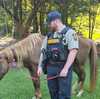 Deputies help return loose horses in Tuscaloosa County