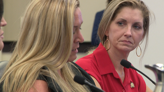 Lawmaker renews push to establish domestic violence registry in Kentucky