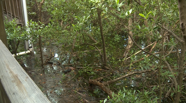 King tides flood Jupiter Island as Amendment 3 raises funding concerns