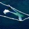 New Hampshire man identified as pilot killed in Maine plane crash
