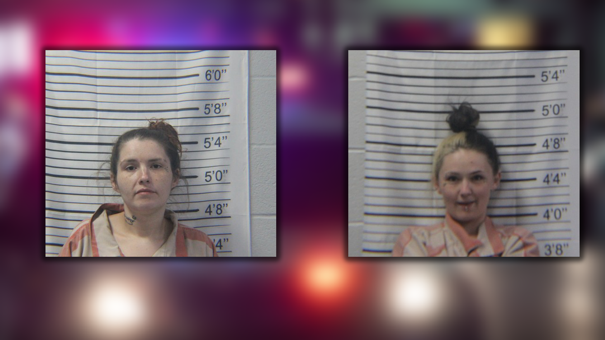 Traffic stop uncovers multiple bags of narcotics, deputies say