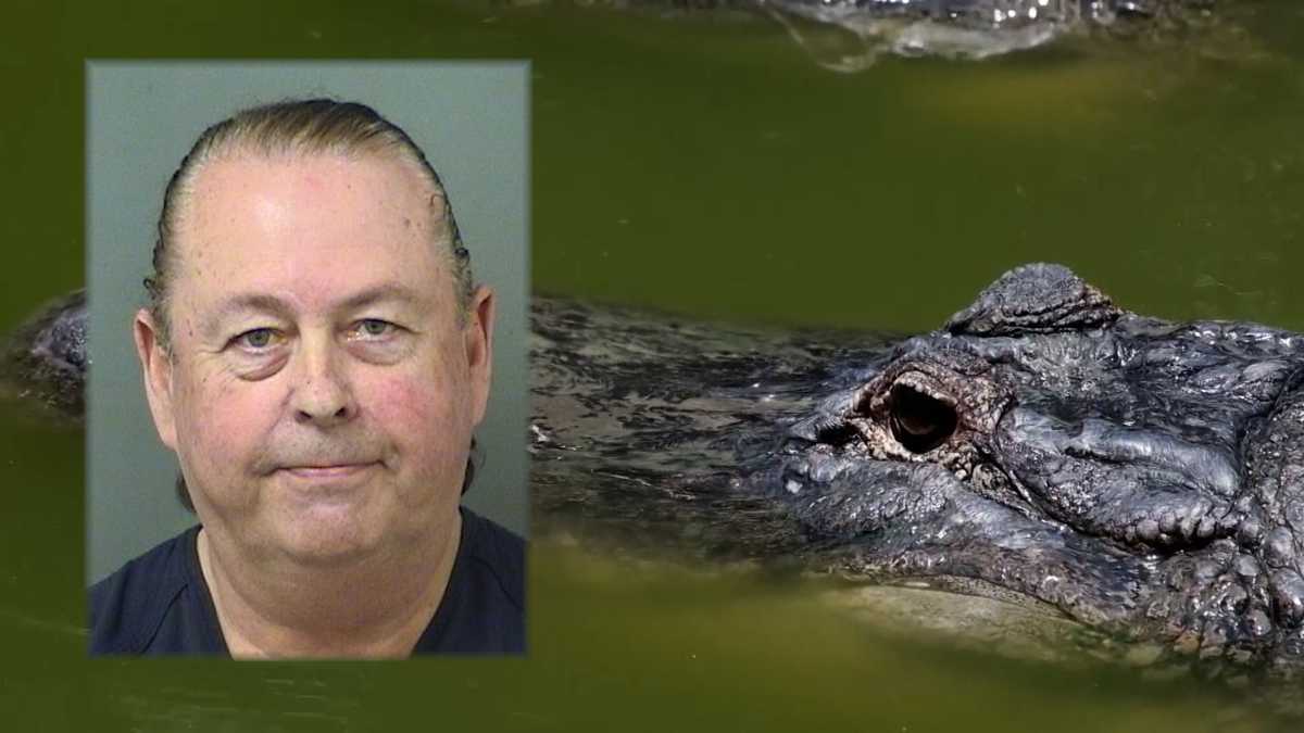 Florida businessman accused of killing alligator with hammer appears in court