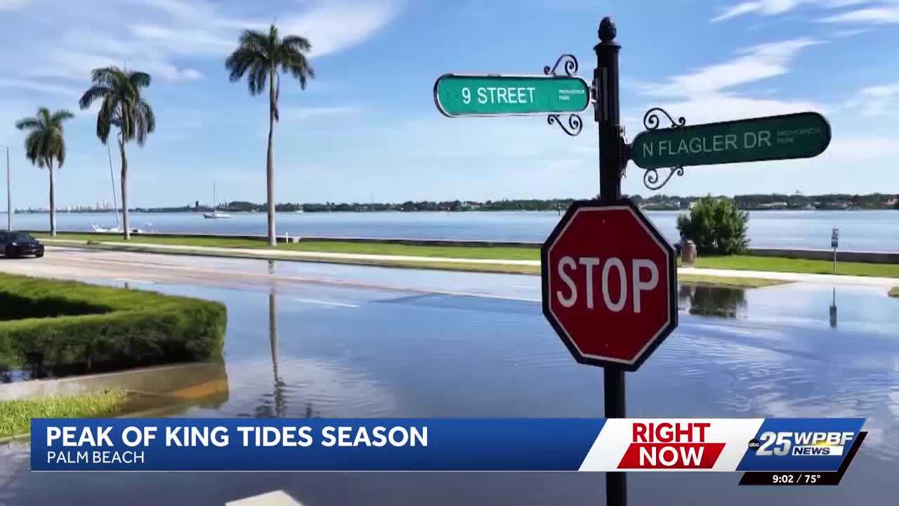 South Florida faces afternoon storms and coastal flooding risk as king tides raise advisory