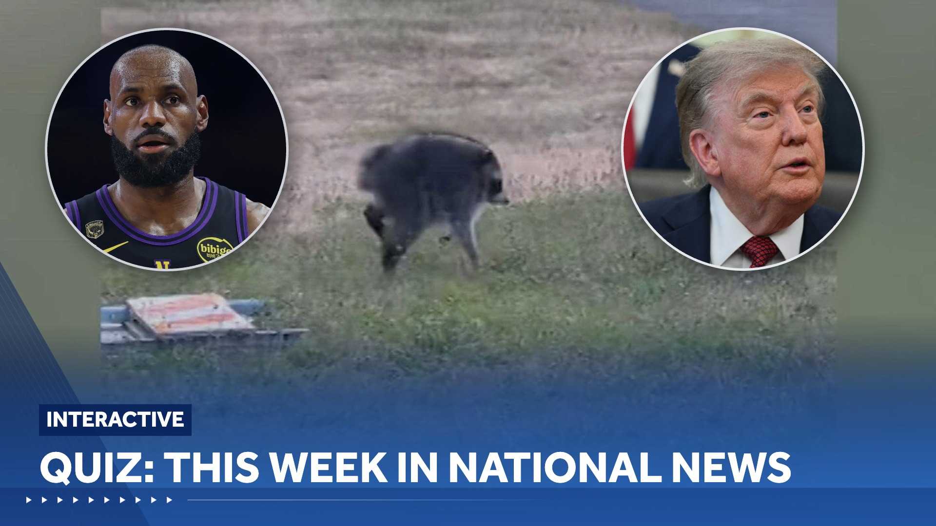 QUIZ : This week in national news