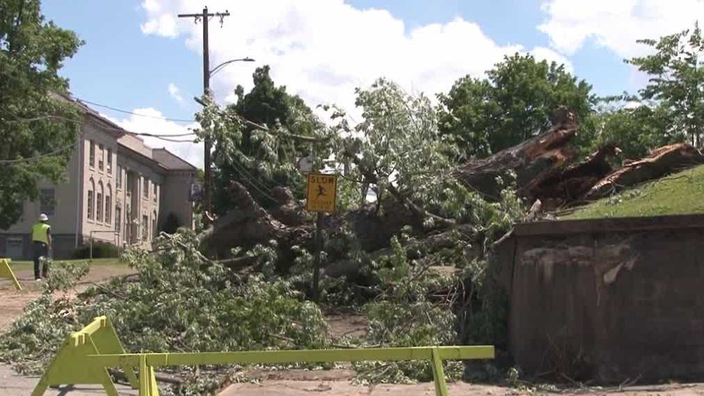 High winds, snapped trees: Westmoreland County residents work to clear damage
