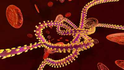 Tracking the Ebola outbreak in Congo, Ugandawjcl