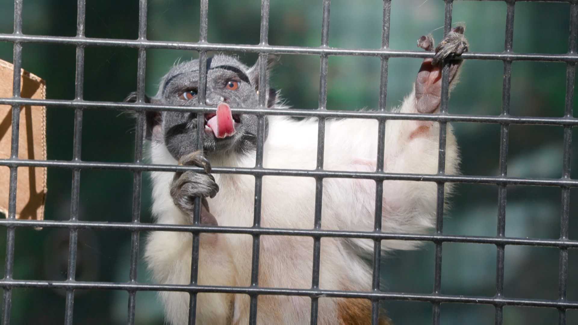 San Joaquin County approves partnership to support Micke Grove Zoo upgrades