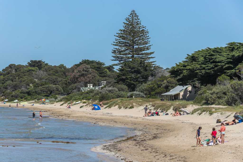 'I was just shocked': Witnesses describe fatal shark attack off Australian beach