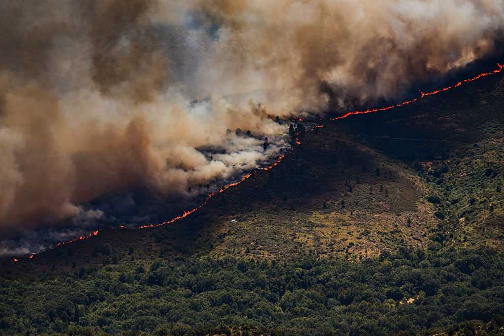 More than 250,000 people flee their homes as wildfires burn in France and Spain