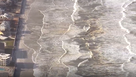King tides cause flooding, erosion on Florida coast