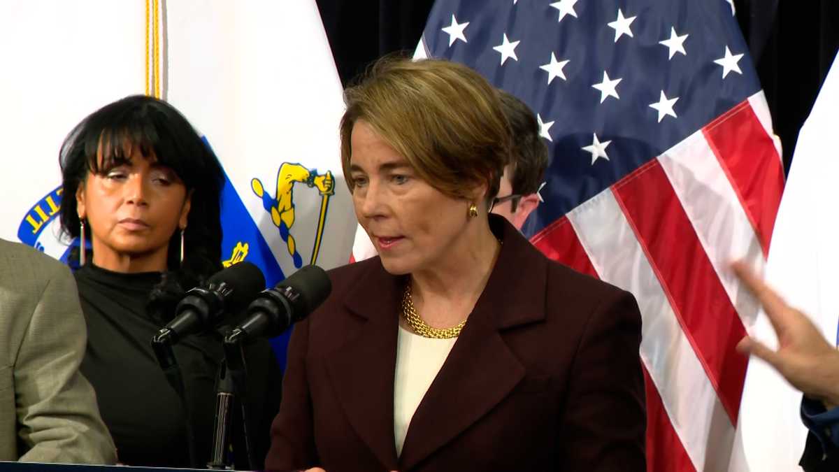 Healey proposes limiting social media, deactivating some features for kids