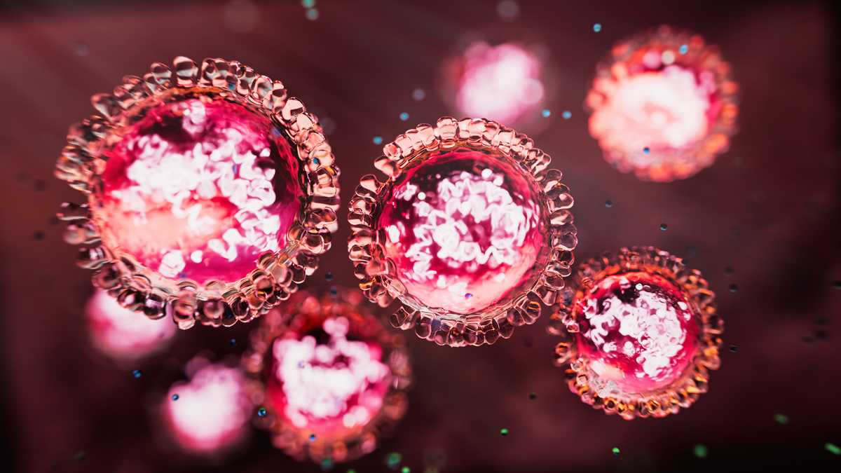 Mmr Documentation Oxford Area High School closes after confirmed measles case - WGAL