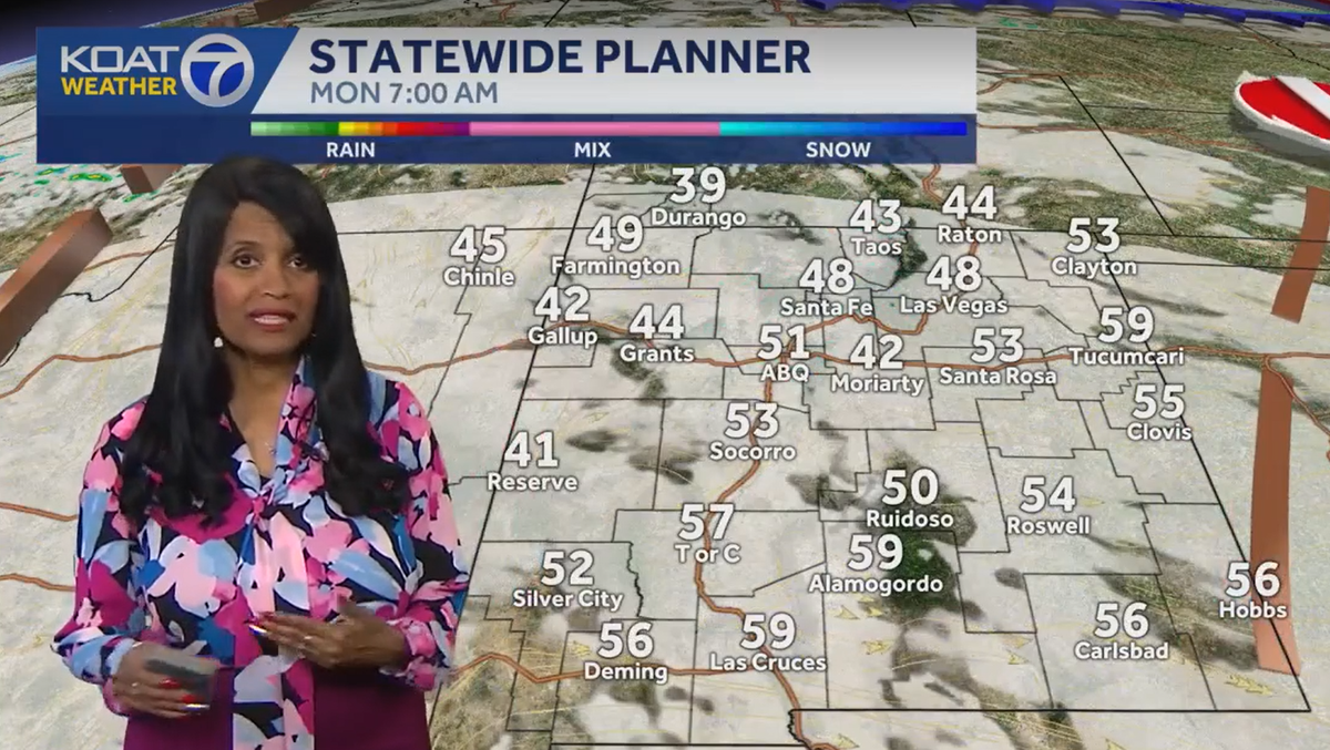 Slight shower chance before dawn, then partly sunny, breezy and warm