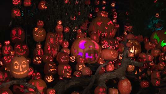 Kentucky Kingdom and Jack O' Lantern Spectacular team up for new pumpkin trail