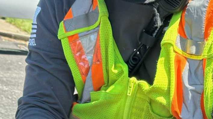 Ducklings rescued after falling into storm drain in Bethel Park