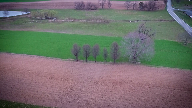 five pear trees for west nickel mines school shooting victims