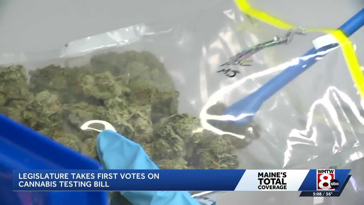wmtw.com - Maine legislature takes first votes on cannabis testing bill