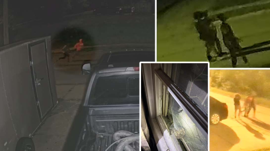 Crime Stoppers: Vandals caught on camera shattering several windows