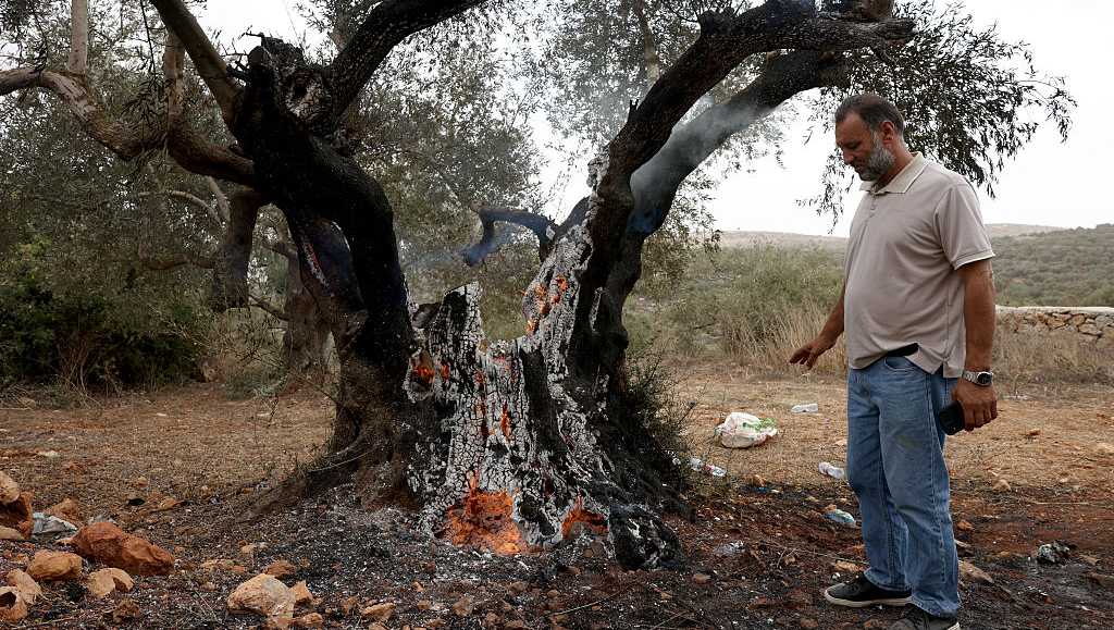 Image via wesh.com