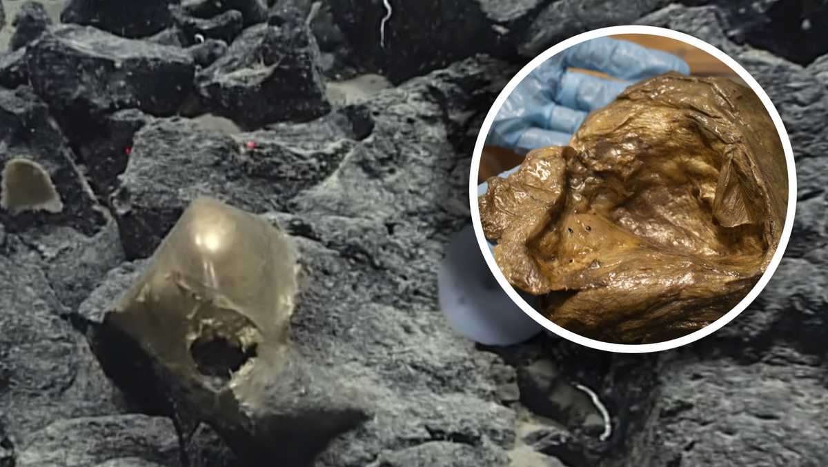Scientists identify mysterious 'golden orb' found on ocean floor – and it’s not an alien egg
