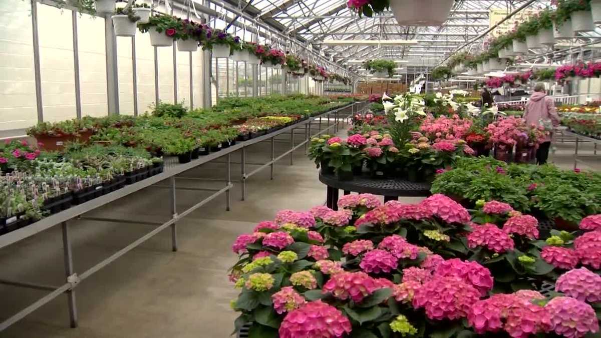 Dundalk Florist to close after 115 years in business, thanks community for support