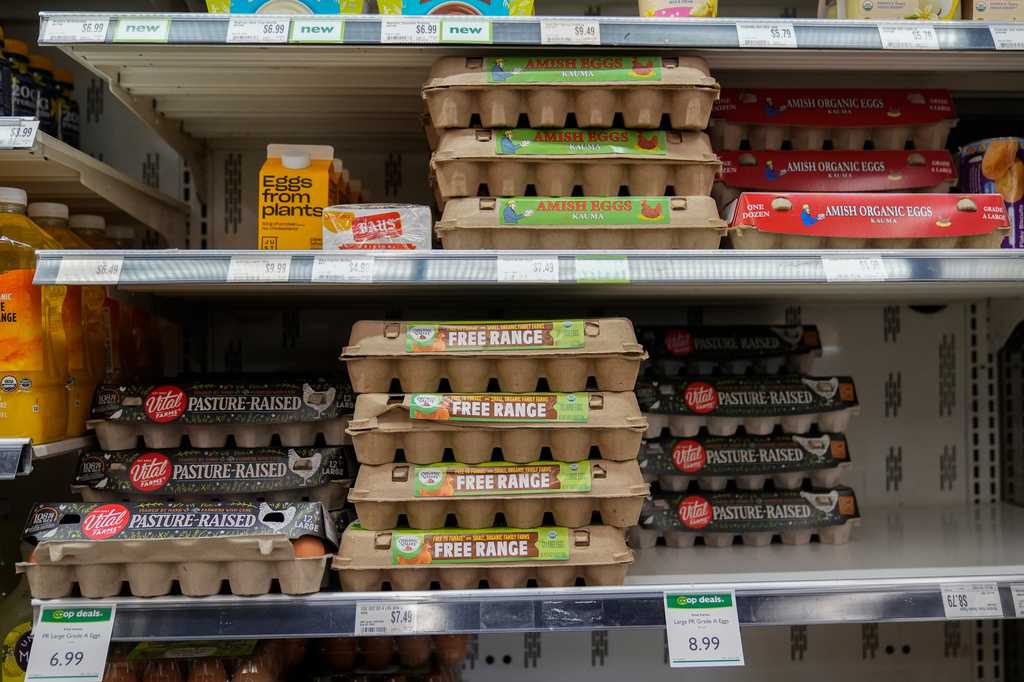 Egg producers will pay $3.3M and donate 53 million eggs to settle price fixing claims