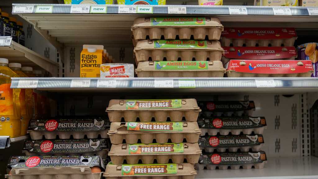 Egg producers will pay $3.3M and donate 53 million eggs to settle price fixing claims