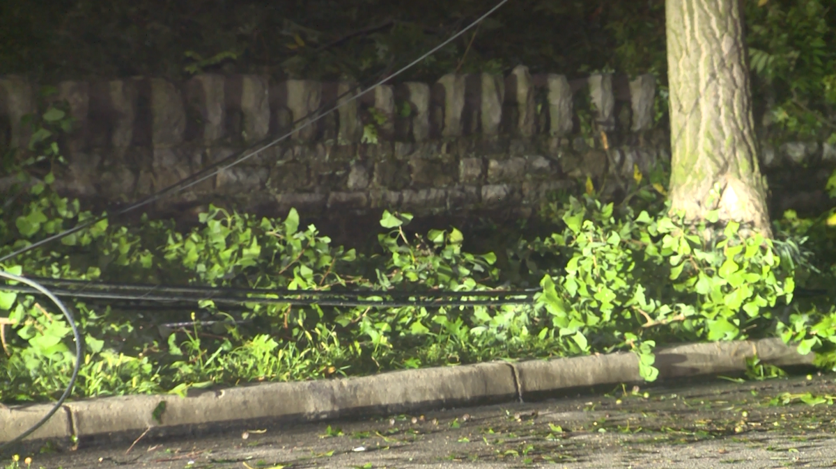 Signs of extensive storm damage still visible as tens of thousands remain without power