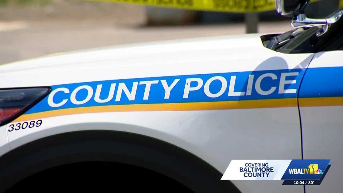 Loaded gun recovered after reported fight at school