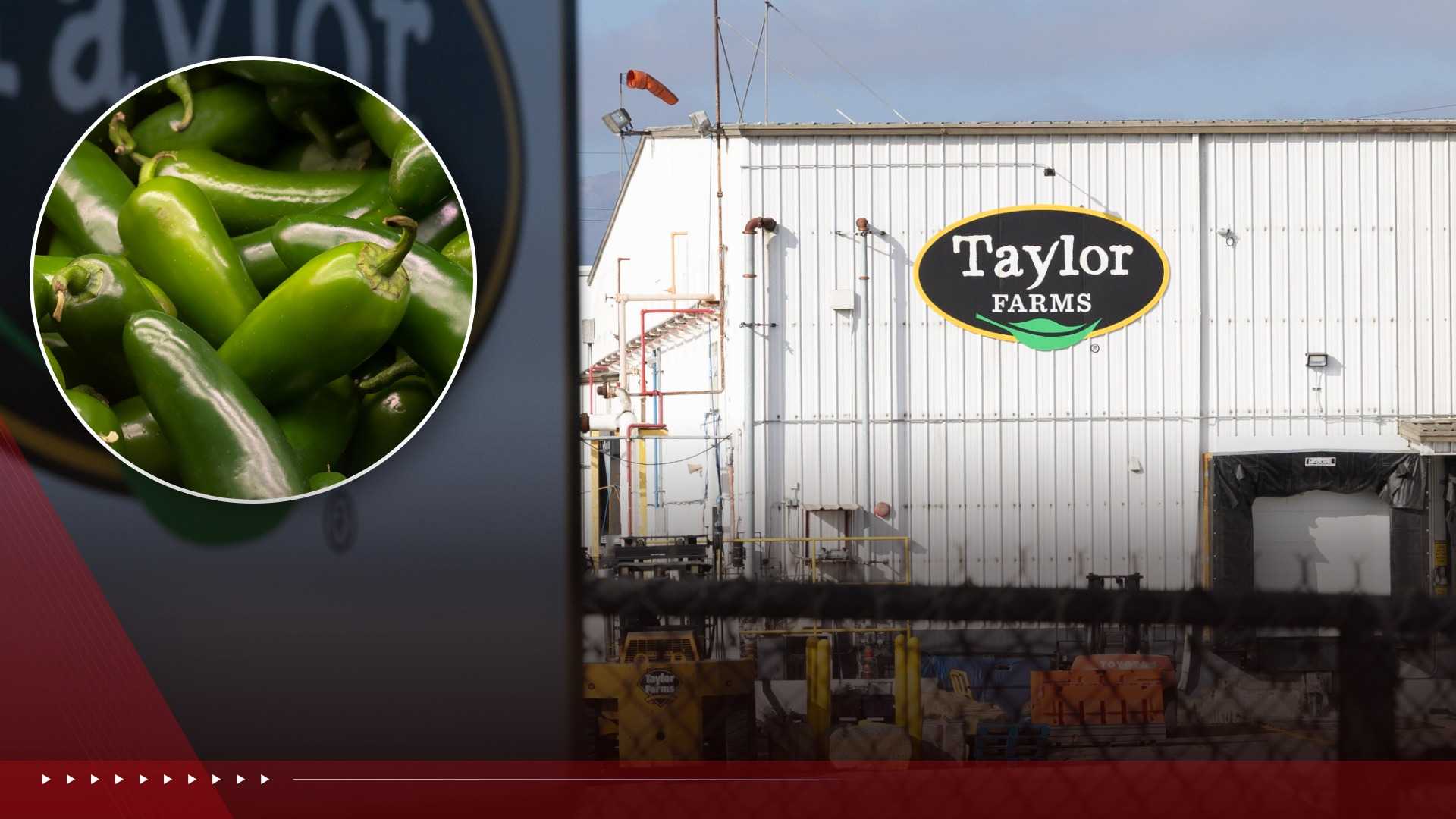 ksbw.com - Ricardo Tovar - Taylor Fresh Foods voluntarily recalls jalape&ntilde;o products amid Salmonella outbreak