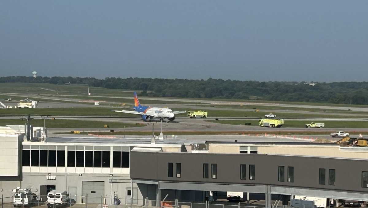 Des Moines airline passengers describe bird strike scare