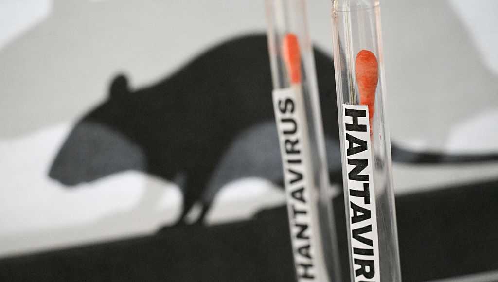 What is hantavirus? How did cruise tourists get it?