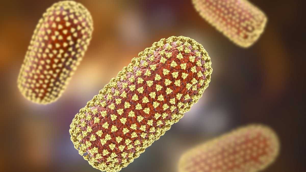 Raccoon in Taneytown tests positive for rabies, Carroll County health officials warn