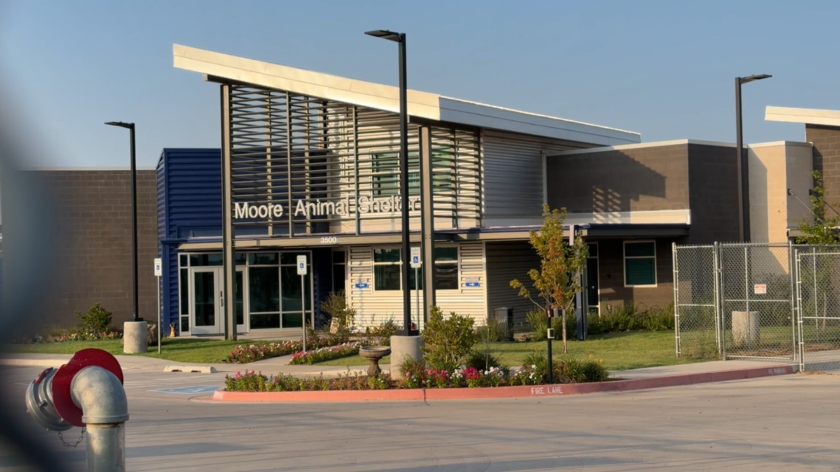 Moore City Council to investigate its animal welfare department after alleged legal violations