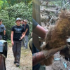 KSP: Kentucky woman charged after animals found in 'extreme heat' without food, water